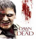 Dawn of the Dead (2004) (Hindi + English) Dual Audio Hollywood Movie BluRay HD ESub