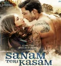 Sanam Teri Kasam (2016) Bollywood Hindi Full Movie BluRay HD ESub